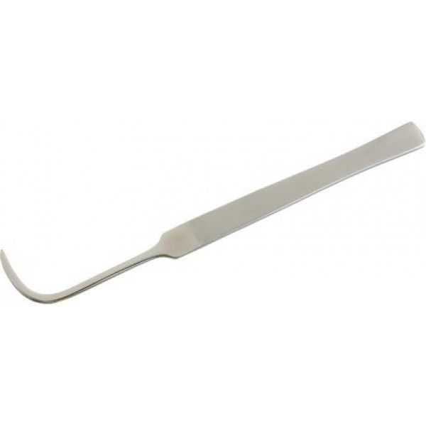 Aneurysm Hook